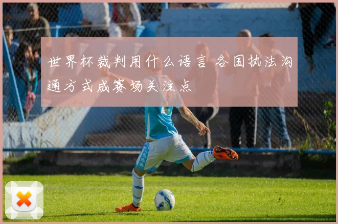 世界杯裁判用什么语言 各国执法沟通方式成赛场关注点