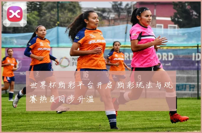 世界杯购彩平台开启 购彩玩法与观赛热度同步升温