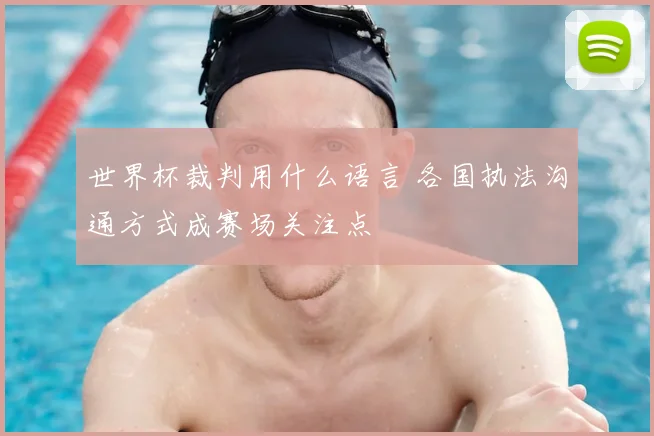世界杯裁判用什么语言 各国执法沟通方式成赛场关注点