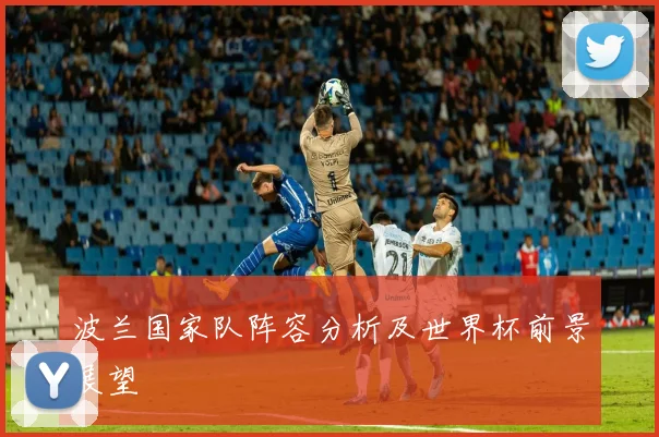 波兰国家队阵容分析及世界杯前景展望