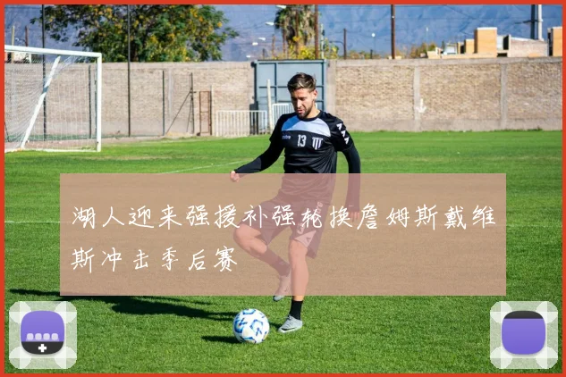 湖人迎来强援补强轮换詹姆斯戴维斯冲击季后赛