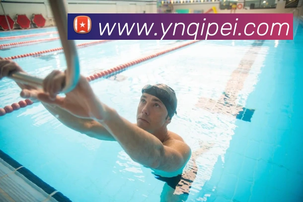 巅峰国际app官方下载渠道平台生态图