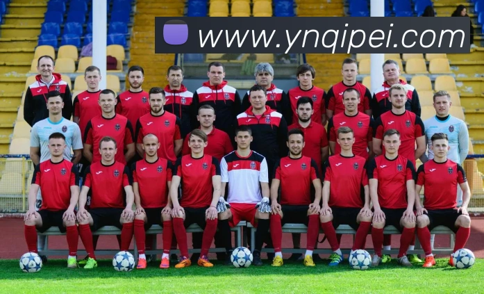 巅峰国际app官方下载渠道全站App